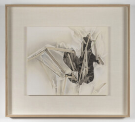 画寸 444×517mm、全寸 794×721mm