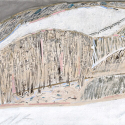 2019、高知麻紙・岩絵具、F4(243×334×21mm)