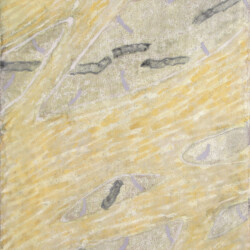 2020、高知麻紙・岩絵具、S.M.(227×158×17mm)