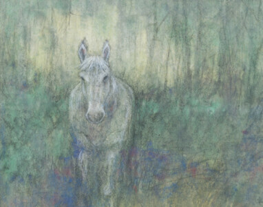 140 × 180 mm 77,000円