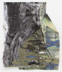 コピー用紙、和紙、水干絵具、オイルパステル、木炭、375×313mm、