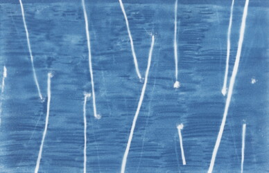 cyanotype on paper、200×300mm、