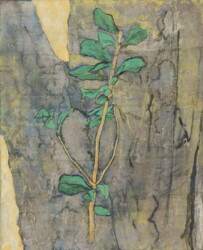 雲母麻紙、鉛筆、木炭、岩絵の具、274×221mm、