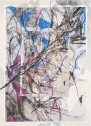 雲母麻紙、コピー用紙、オイルパステル、墨、鉛筆、ペン、455×333mm、