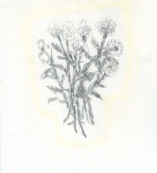 鉛筆、パステル、紙、