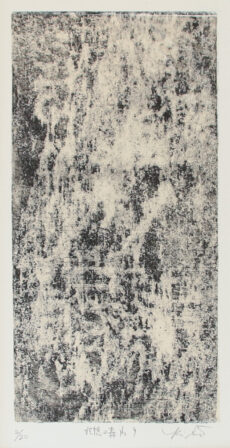 佐藤圭「記憶の森 No.9」ハーネミューレ版画用紙 300g/m2、雁皮紙、水性のり、油性インク、210mm x 300mm x 0.6mm、額付¥8,800 佐藤圭「記憶の森 No.9」ハーネミューレ版画用紙 300g/m2、雁皮紙、水性のり、油性インク、210mm x 300mm x 0.6mm、額付¥8,800