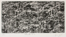 佐藤圭「記憶の森 No.10」アルデバラン版画用紙 250g/m2 油性インク、210mm x 300mm x 0.5mm 、額付¥8,800 佐藤圭「記憶の森 No.10」アルデバラン版画用紙 250g/m2 油性インク、210mm x 300mm x 0.5mm 、額付¥8,800