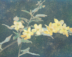 卜夢葉「山吹の光」2026、日本画、和紙、岩絵具、334×243mm、¥46,200(税込)