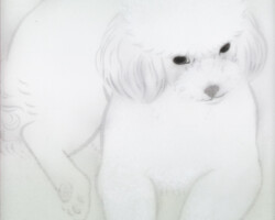 戸田淳也「犬図」2026、絹、墨、胡粉、300×210×10mm、額付き、¥33,000(税込)