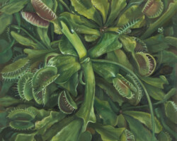 TSANG KAM MAN「Venus Flytrap」2026、パネル、油彩、333×242×18mm、¥27,500(税込)